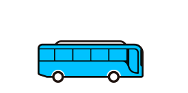 Megabuses Totales D11 y DM1
